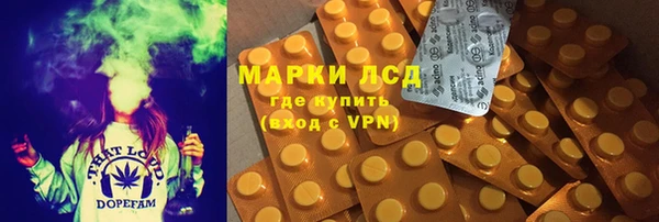эйфоретик Алзамай