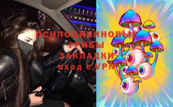 эйфоретик Алзамай