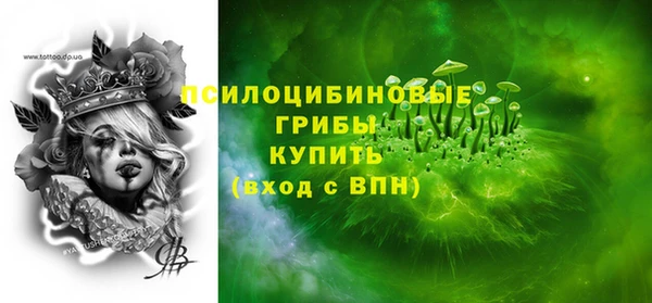 эйфоретик Алзамай