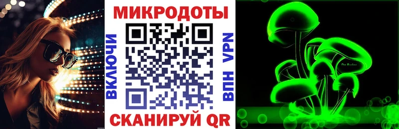 Псилоцибиновые грибы Psilocybine cubensis  Апрелевка 