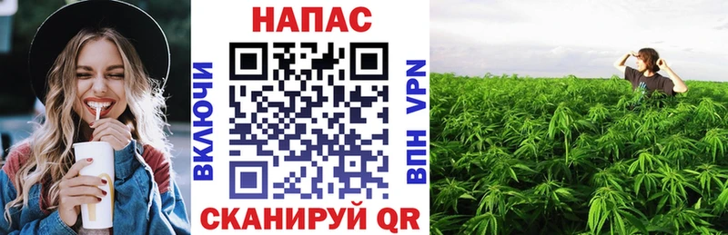 Шишки марихуана MAZAR  купить   Апрелевка 